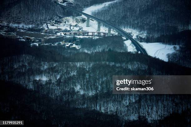 beautiful landscape view of forest cover by snow near niseko hokkaido japan - mount yotei bildbanksfoton och bilder