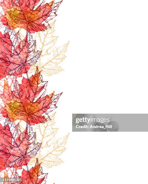 maple leaf vector watercolor and ink seamless pattern with copy space - hello october stock illustrations