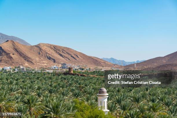 oasis, birkat al mouz, oman - nizwa fotografías e imágenes de stock