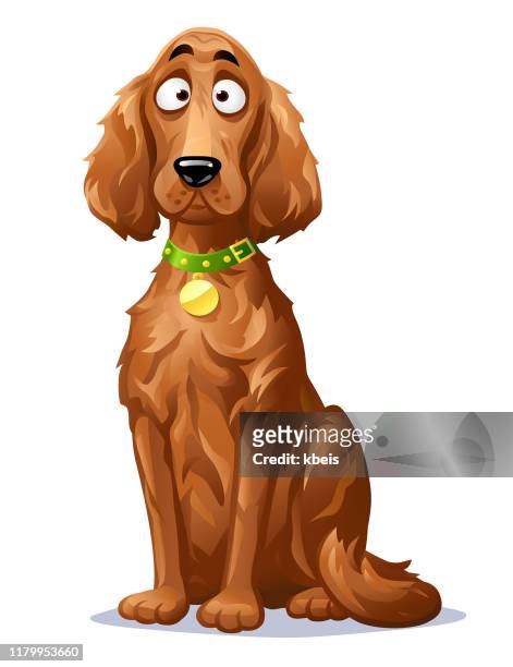 illustrations, cliparts, dessins animés et icônes de chien mignon- setter irlandais - cheveux longs