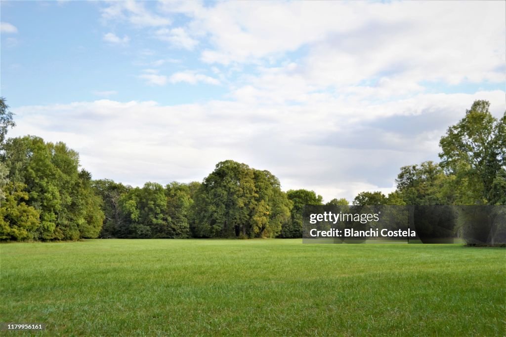 Trees in the park in autumn against the blue sky