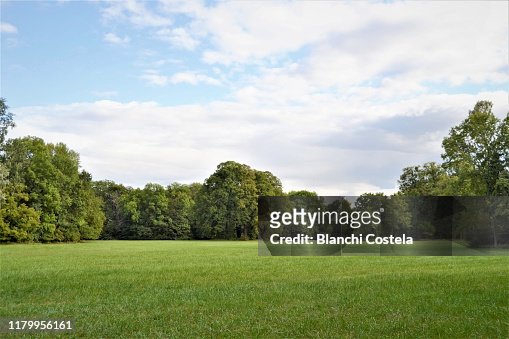 166,935 Park Background Photos and Premium High Res Pictures - Getty Images