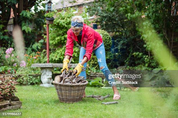 gathering wood - tidy stock pictures, royalty-free photos & images