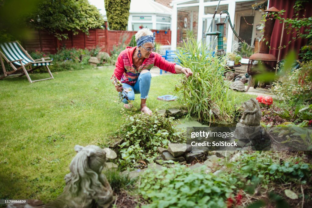 Tidying Up Her Pond