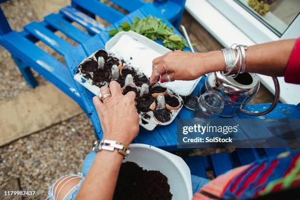 senior woman planting seeds in eggshells - eierschale stock-fotos und bilder