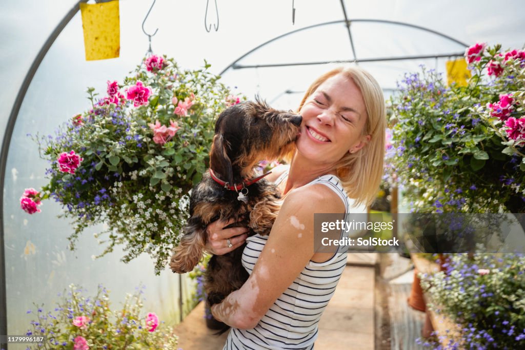 Dachshund Gives Her Owner a Kiss