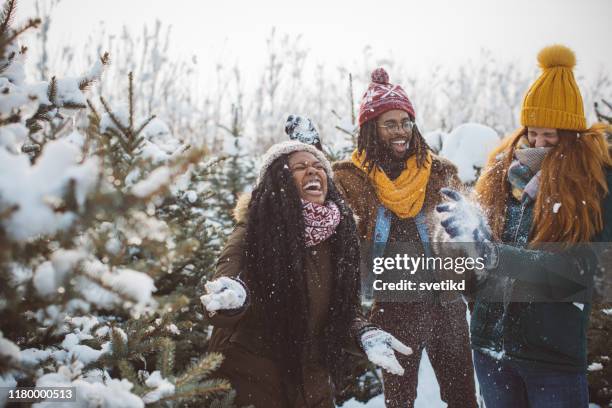 picking right tree for perfect christmas - bola de neve imagens e fotografias de stock