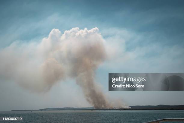 a forest fire during a drought seen from a boat - fähre stock-fotos und bilder