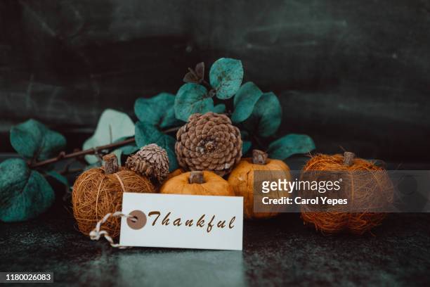 giving thanks with pumpkin assortment still life and thankful message - thanksgiving arrangement stock pictures, royalty-free photos & images