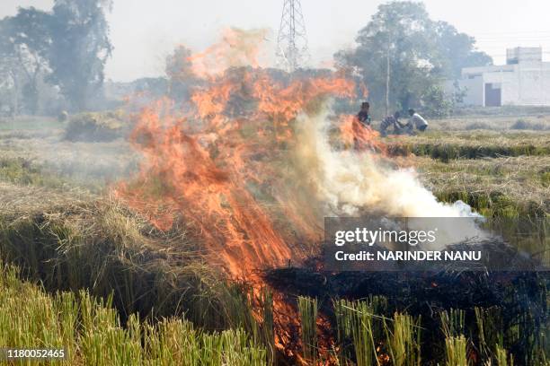People burn straw stubble after harvesting paddy crops in a field near Attari village, some 35 km from Amritsar on November 5, 2019. - India's top...