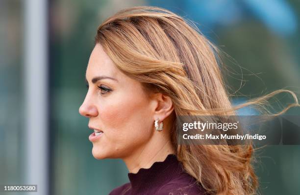 Catherine, Duchess of Cambridge visits The Angela Marmont Centre For UK Biodiversity at the Natural History Museum on October 9, 2019 in London,...