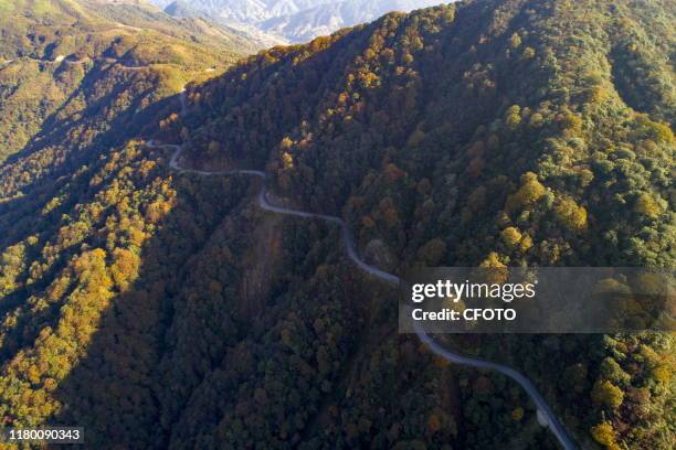 Leigong mountain national nature reserve in late autumn, Leishan County, Guizhou Province, China, nov 3, 2019.- PHOTOGRAPH BY Costfoto / Future...