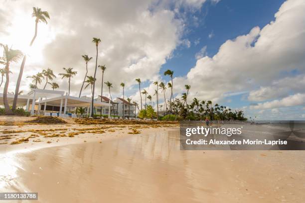 holiday paradise, sun beach, sand and beautiful view in punta cana, dominican republic - punta cana stock pictures, royalty-free photos & images