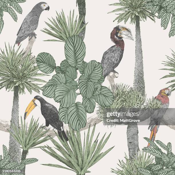 stockillustraties, clipart, cartoons en iconen met tropische vogels & palm bomen herhalen - jungle animal