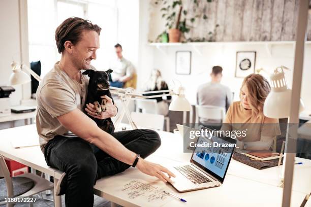 multi-ethnic teamwork in pet-friendly office - different cultures stock pictures, royalty-free photos & images