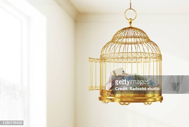 golden bird cage full of money - vogelkooi stockfoto's en -beelden