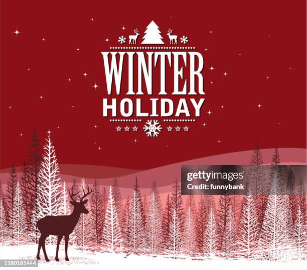 illustrazioni stock, clip art, cartoni animati e icone di tendenza di vacanza innevata - snow ball