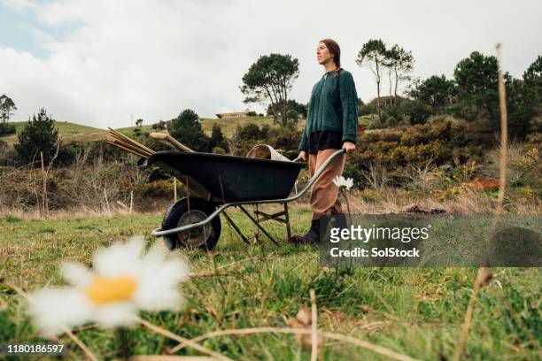 female environmentalist hard at work - new zealand farmer stock pictures, royalty-free photos & images
