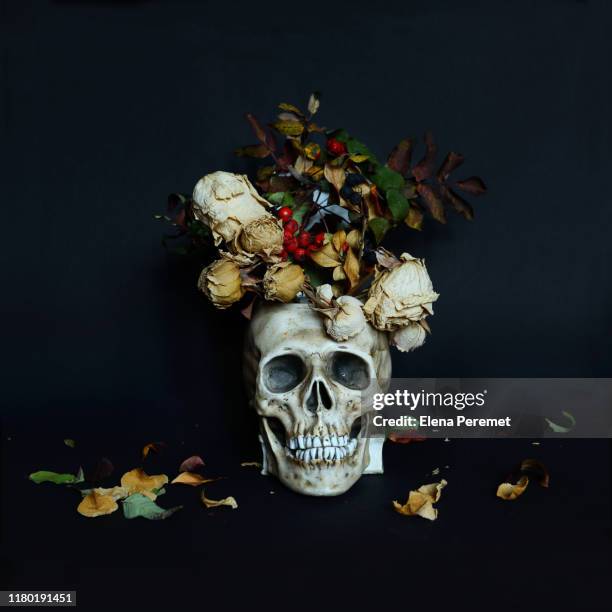 creative floral layout with skull and flowers on black background. - mexican flower pattern stock-fotos und bilder