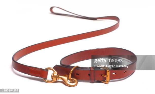dog leash and collar death of dog - kraag stockfoto's en -beelden