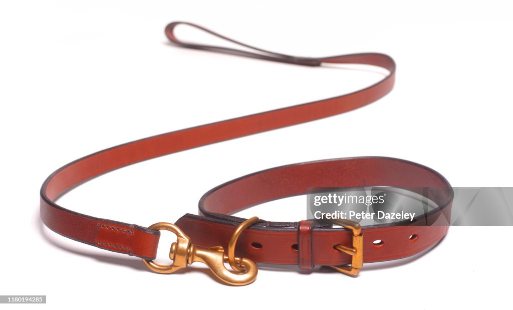 Dog leash and collar death of dog