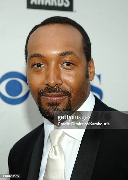 Jesse L. Martin during 59th Annual Tony Awards - Red Carpet at Radio City Music Hall in New York City, New York, United States.