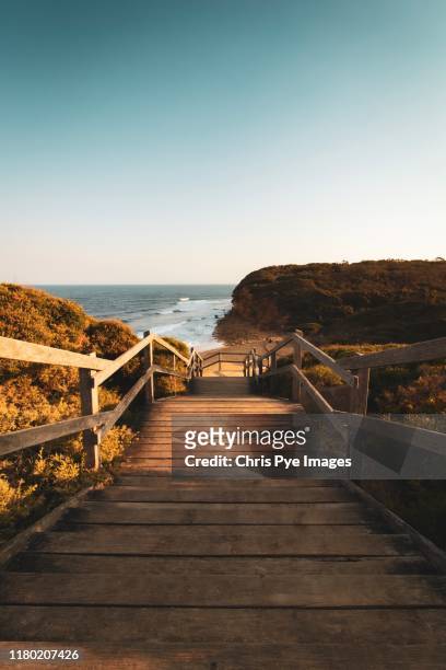walkway to bells beach - torquay stock pictures, royalty-free photos & images