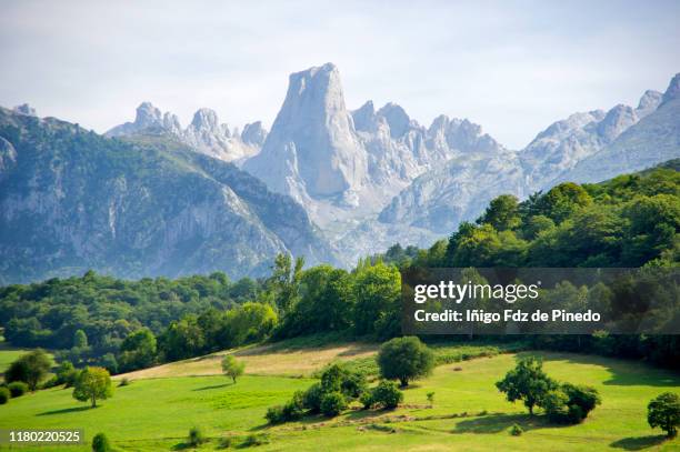 naranjo de bulnes ,cangas de onis, cabrales, asturias, spain. - principado de asturias bildbanksfoton och bilder