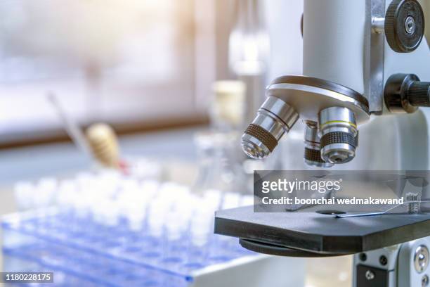 the laboratory test tubes - cientifico con microscopio fotografías e imágenes de stock