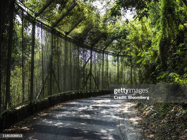 Fences line a road leading to the Tak Yuet Lau Police Post in the Lo Wu district of Hong Kong, China, on Thursday, Sept. 12, 2019. Hong Kong's waning...