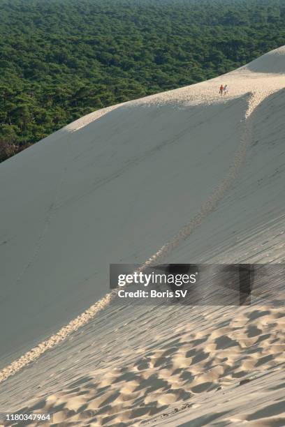 path to the top of dune of pilat, france - duna de pilat fotografías e imágenes de stock