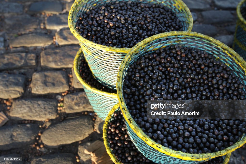 Ver-o-Peso Market in Belém,Brazil