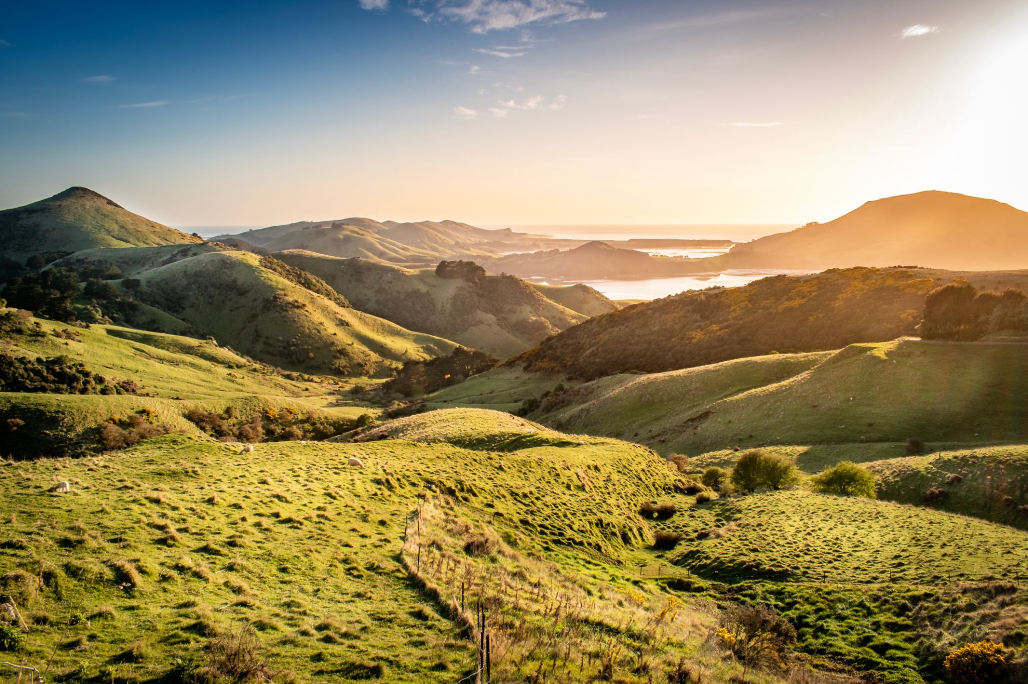 oceania landscape