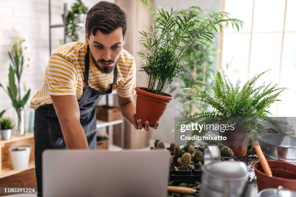 botaniste vlogging au sujet de la pépinière de plante - botaniste photos et images de collection