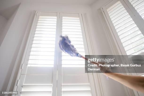 cleaning the shutters with a feather duster - feather duster stock pictures, royalty-free photos & images