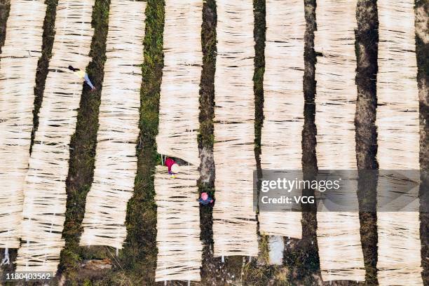 Aerial view of villagers drying bamboo sticks to produce bamboo chopsticks at Xingan County on October 11, 2019 in Ji'an, Jiangxi Province of China.