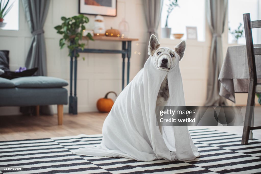 Costumed for Halloween