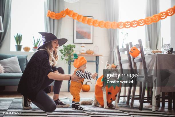 mother helping baby to walk on halloween - halloween dog stock pictures, royalty-free photos & images