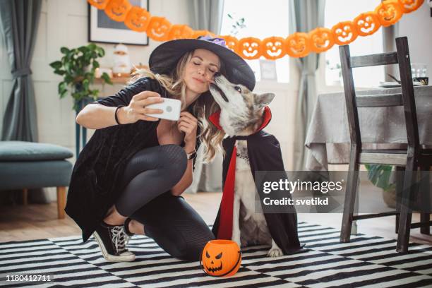 selfie d'halloween - vampire dog photos et images de collection