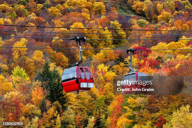 Autumn gondola sightseeing excursion at Stowe Mountain.