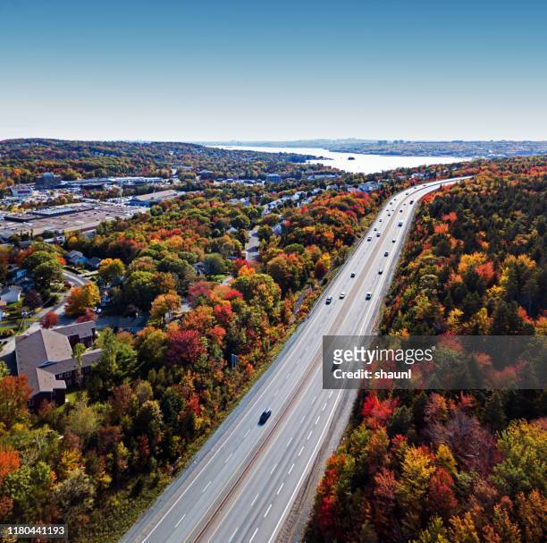 autumn highway - canadian maple trees from below stock-fotos und bilder