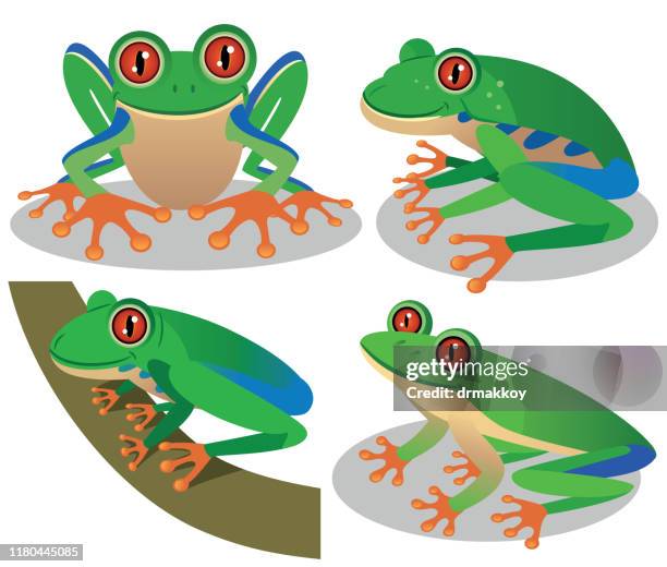 ilustraciones, imágenes clip art, dibujos animados e iconos de stock de rana de árbol de ojos rojos - ojos rojos