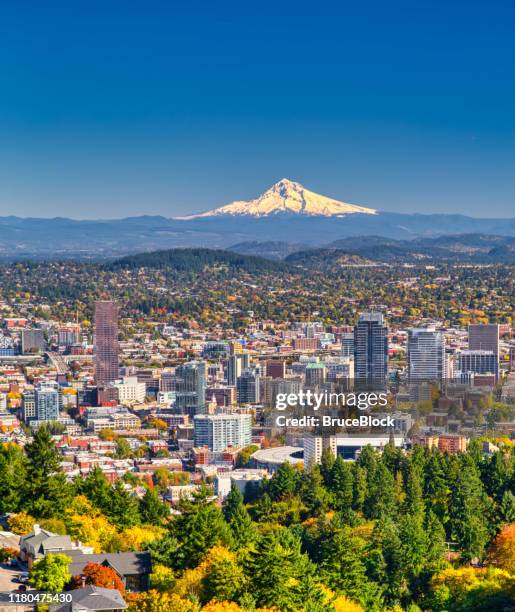 portland oregon skyline with mt. hood in autumn - portland oregon stock pictures, royalty-free photos & images