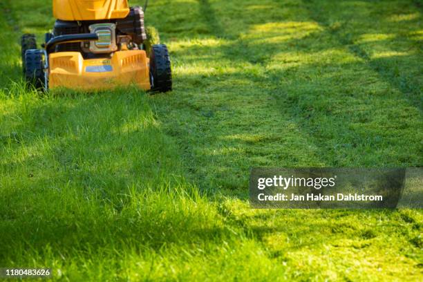 lawn mower on grass in garden - garden working stockfoto's en -beelden