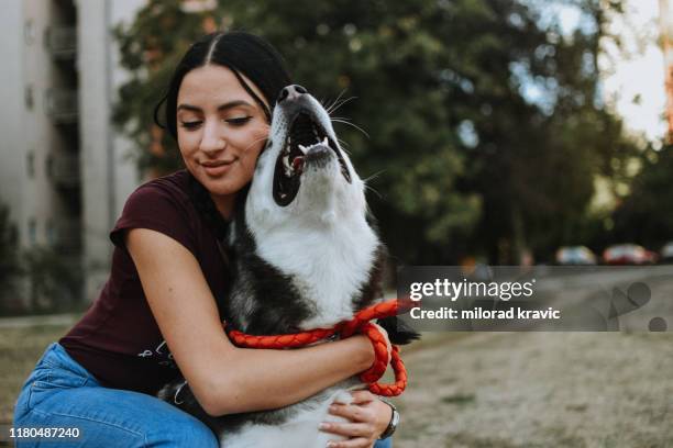 young woman with dog - siberian husky stock pictures, royalty-free photos & images