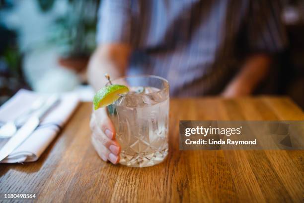 gin tonic - gin and tonic stock pictures, royalty-free photos & images