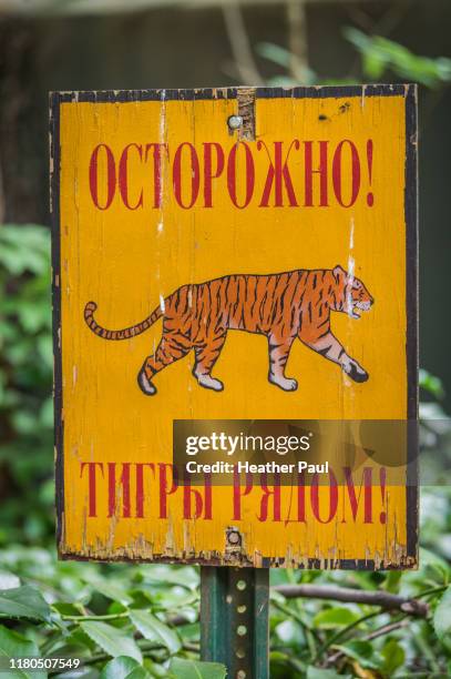 russian sign that reads caution! tigers nearby! - siberian tiger stock pictures, royalty-free photos & images