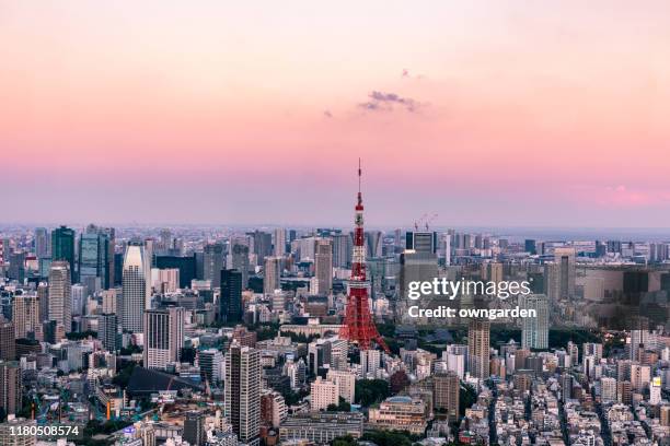 aerial view of tokyo skyline at sunset - tokyo skyline sunset stock pictures, royalty-free photos & images
