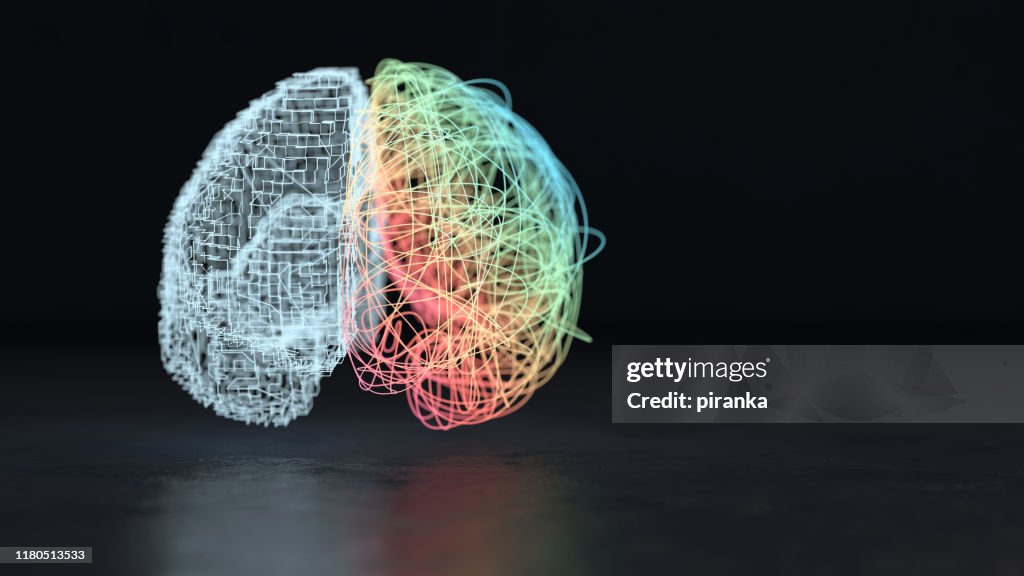 Left and right brain hemisphere