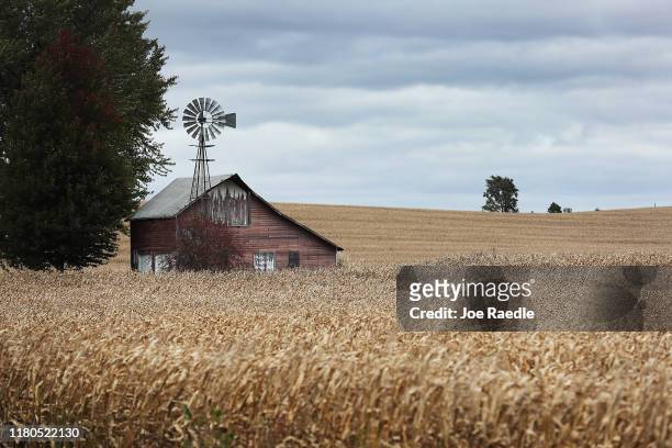 Barn is seen in a field of corn on October 11, 2019 in Newton, Iowa. The 2020 Iowa Democratic caucuses will take place on February 3 making it the...